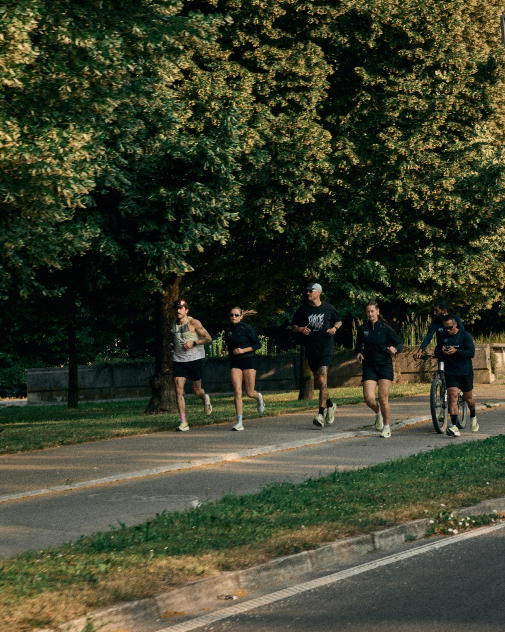 Group run on a tree-lined path in the morning light